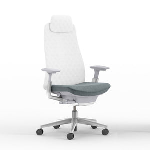Haworth Fern Executive